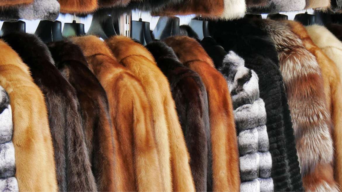 Caring For Your Furs & Fine Outerwear
