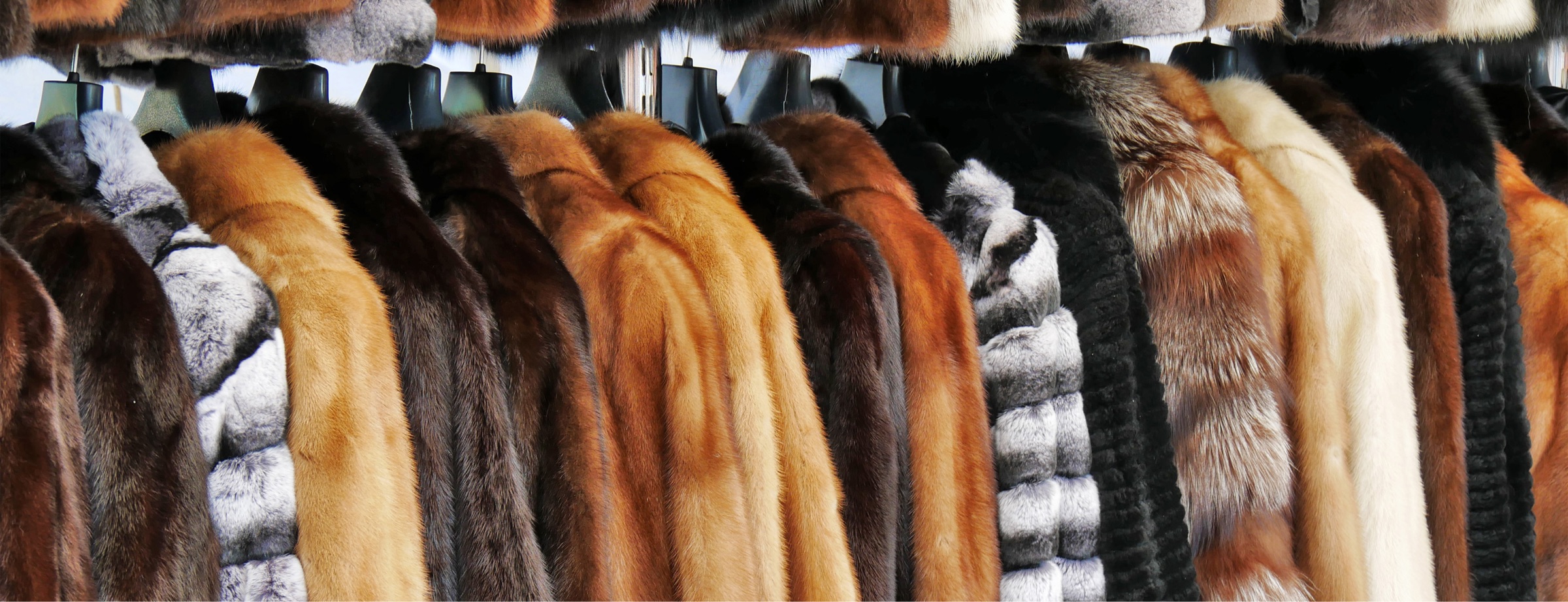 Professional Fur Coat Cleaners - Tradingbasis